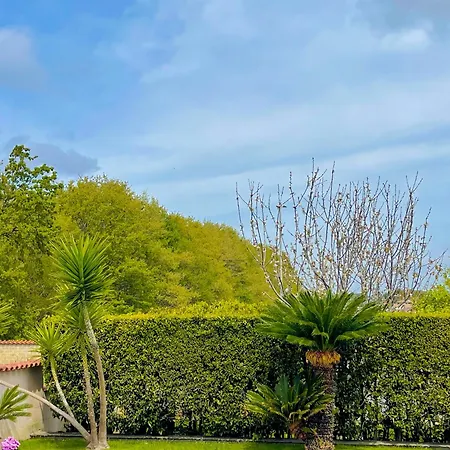 Casa Don Toto' - * Anzio